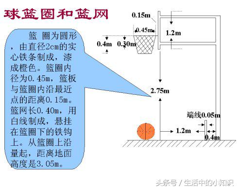标准篮球尺寸，成人篮球标准尺寸插图1