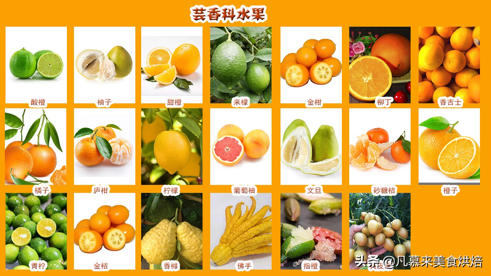 全部水果名称大全，水果品种大全名字插图2