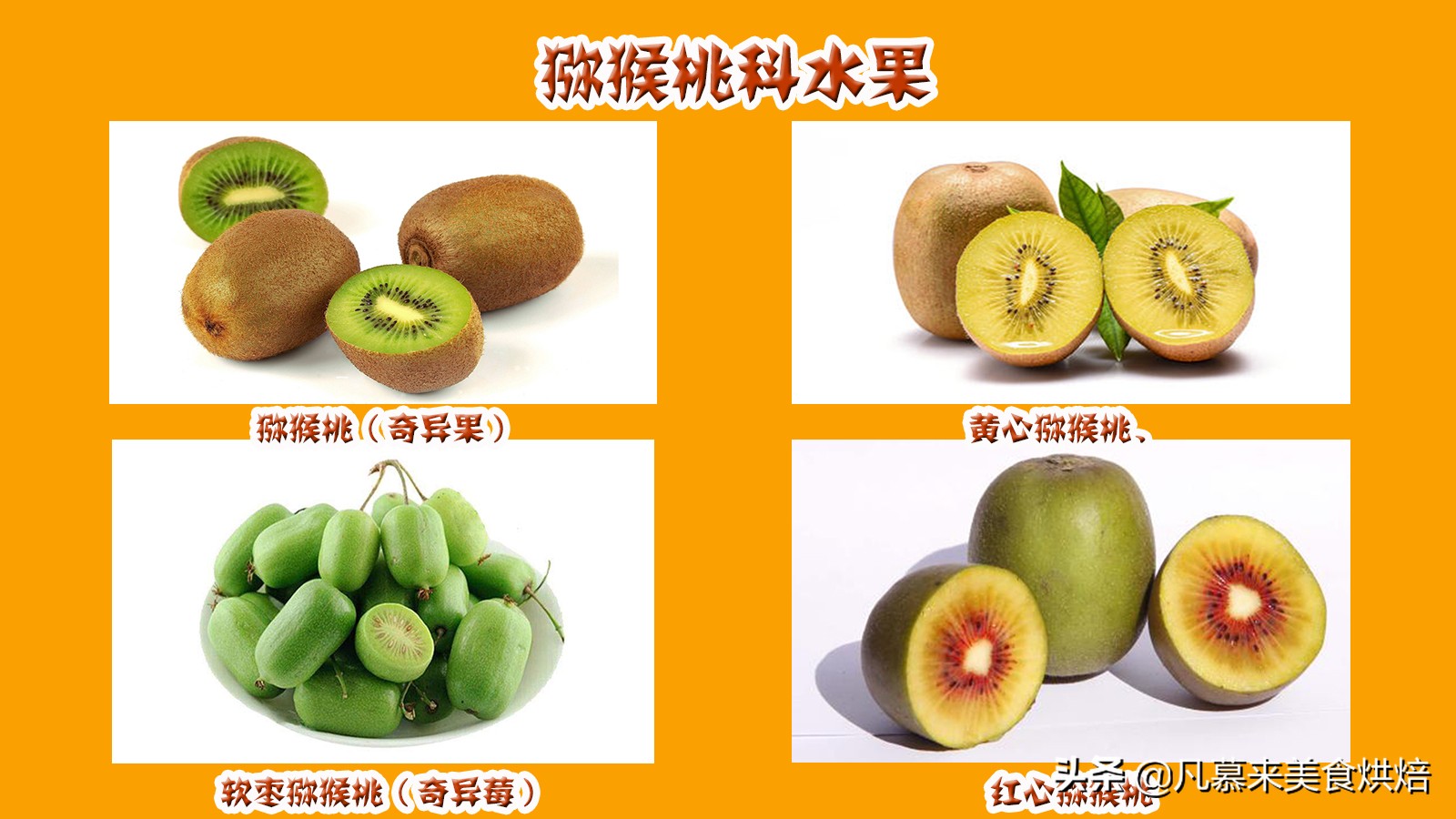 全部水果名称大全，水果品种大全名字插图9